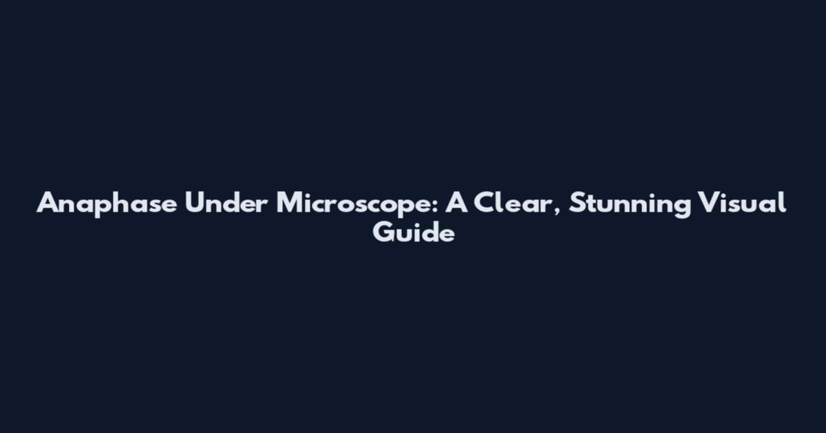 Anaphase Under Microscope: A Clear, Stunning Visual Guide