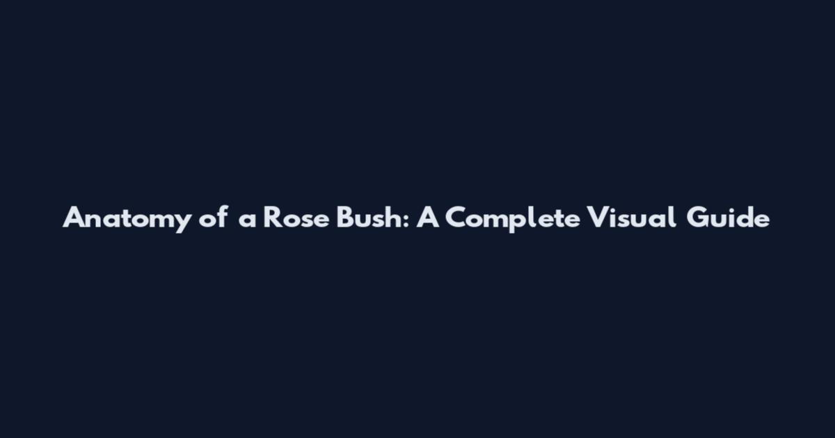 Anatomy of a Rose Bush: A Complete Visual Guide