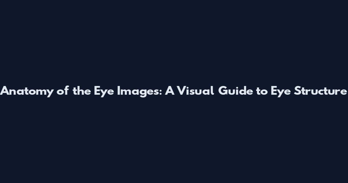 Anatomy of the Eye Images: A Visual Guide to Eye Structure
