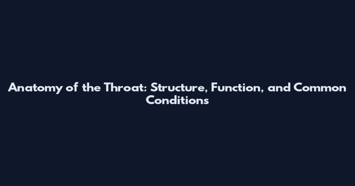 Anatomy of the Throat: Structure, Function, and Common Conditions
