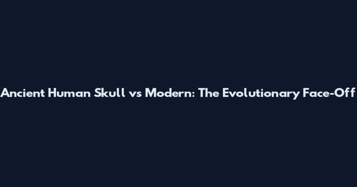 Ancient Human Skull vs Modern: The Evolutionary Face-Off