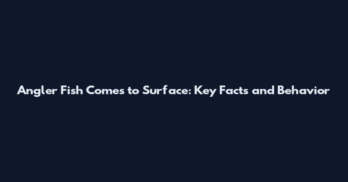 Angler Fish Comes to Surface: Key Facts and Behavior