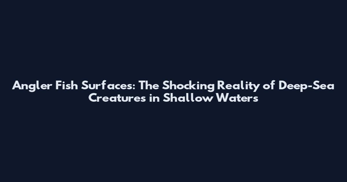 Angler Fish Surfaces: The Shocking Reality of Deep-Sea Creatures in Shallow Waters