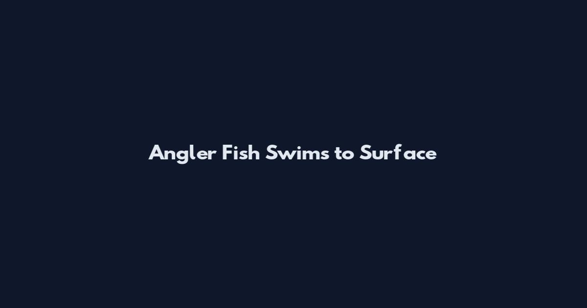 Angler Fish Swims to Surface