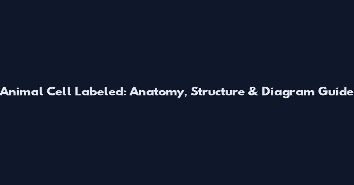 Animal Cell Labeled: Anatomy, Structure & Diagram Guide