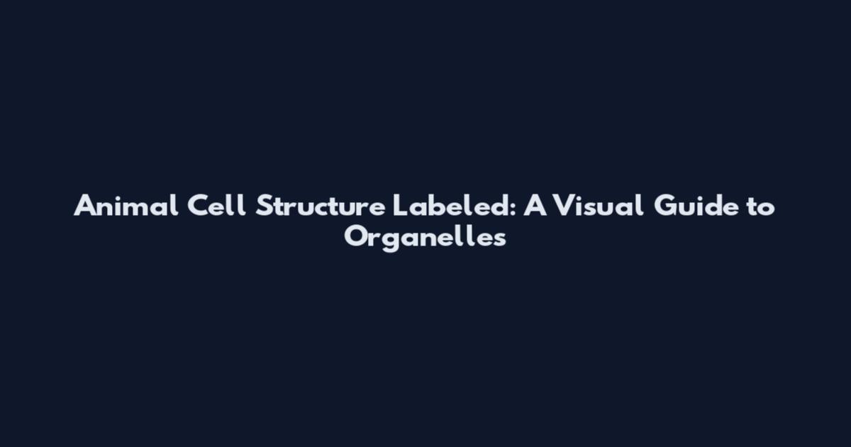 Animal Cell Structure Labeled: A Visual Guide to Organelles