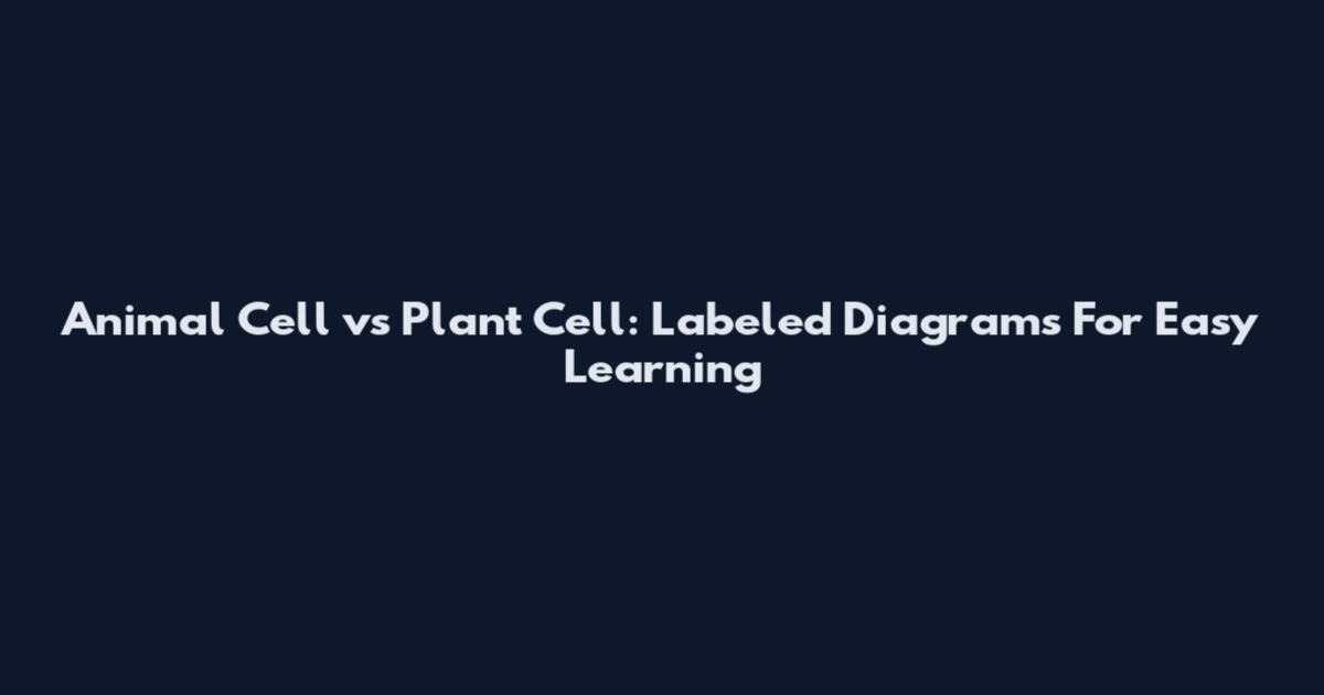 Animal Cell vs Plant Cell: Labeled Diagrams For Easy Learning