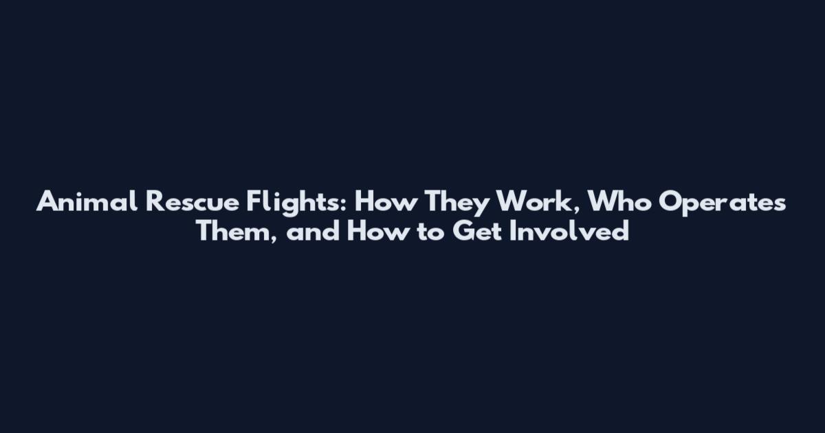 Animal Rescue Flights: How They Work, Who Operates Them, and How to Get Involved