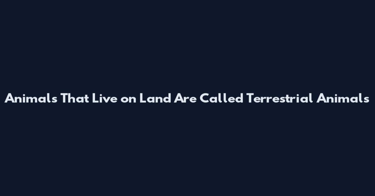 Animals That Live on Land Are Called Terrestrial Animals