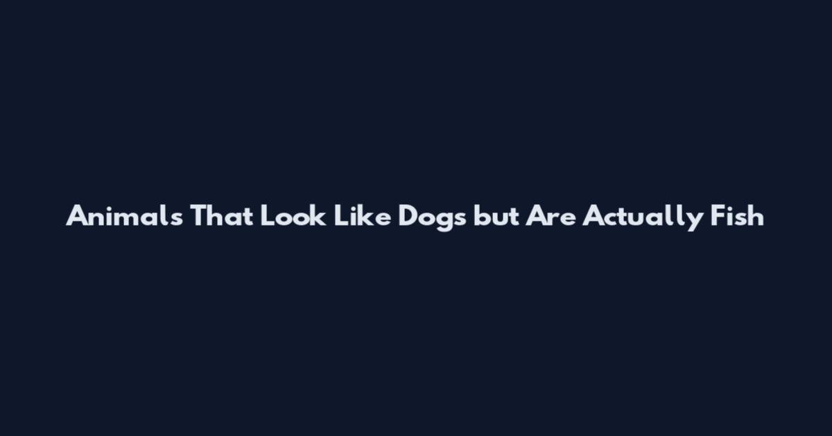 Animals That Look Like Dogs but Are Actually Fish