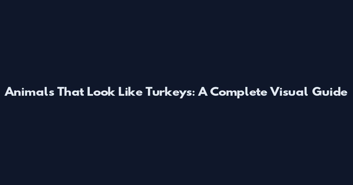 Animals That Look Like Turkeys: A Complete Visual Guide