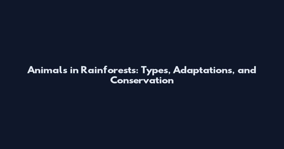 Animals in Rainforests: Types, Adaptations, and Conservation
