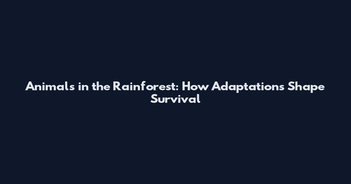 Animals in the Rainforest: How Adaptations Shape Survival