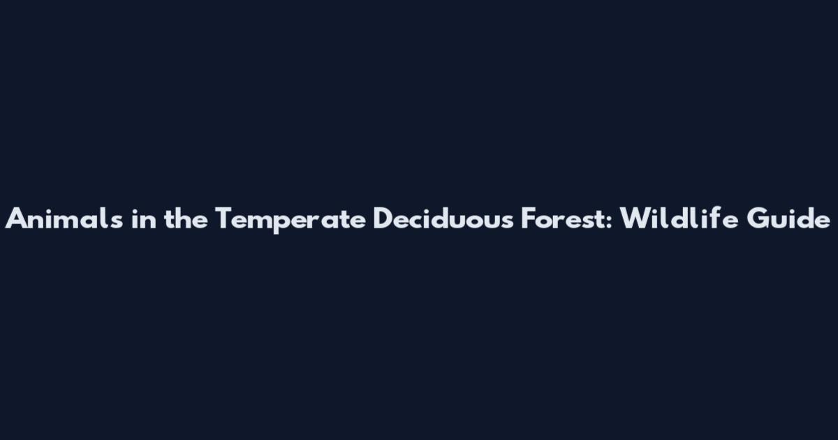 Animals in the Temperate Deciduous Forest: Wildlife Guide