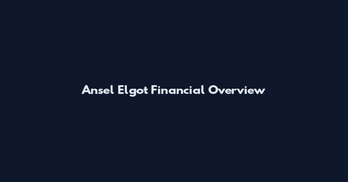 Ansel Elgot Financial Overview