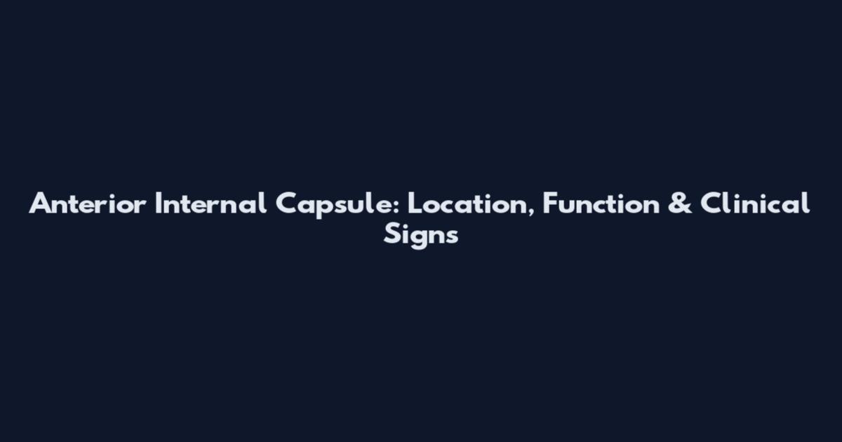 Anterior Internal Capsule: Location, Function & Clinical Signs