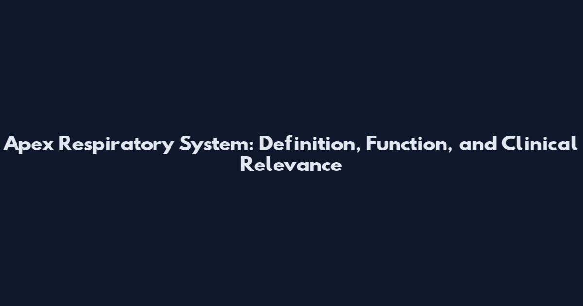 Apex Respiratory System: Definition, Function, and Clinical Relevance