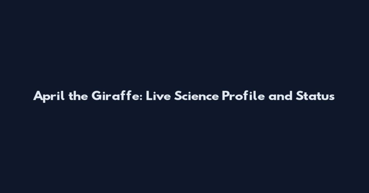 April the Giraffe: Live Science Profile and Status