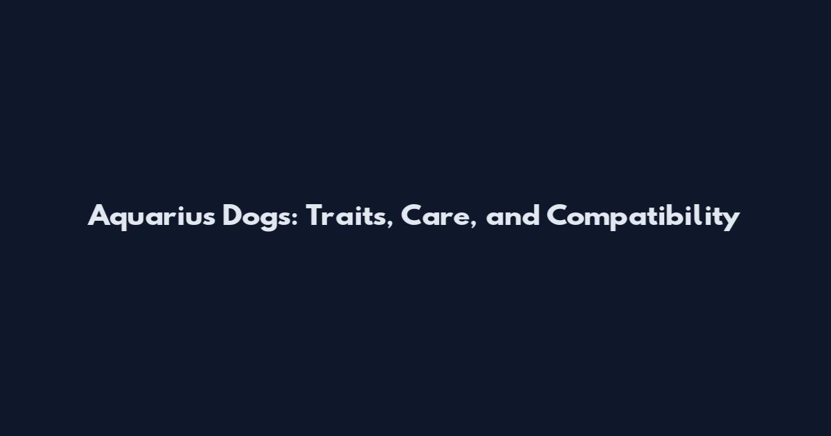 Aquarius Dogs: Traits, Care, and Compatibility