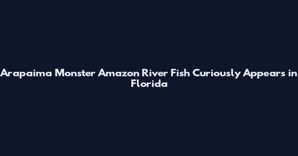 Arapaima Monster Amazon River Fish Curiously Appears in Florida