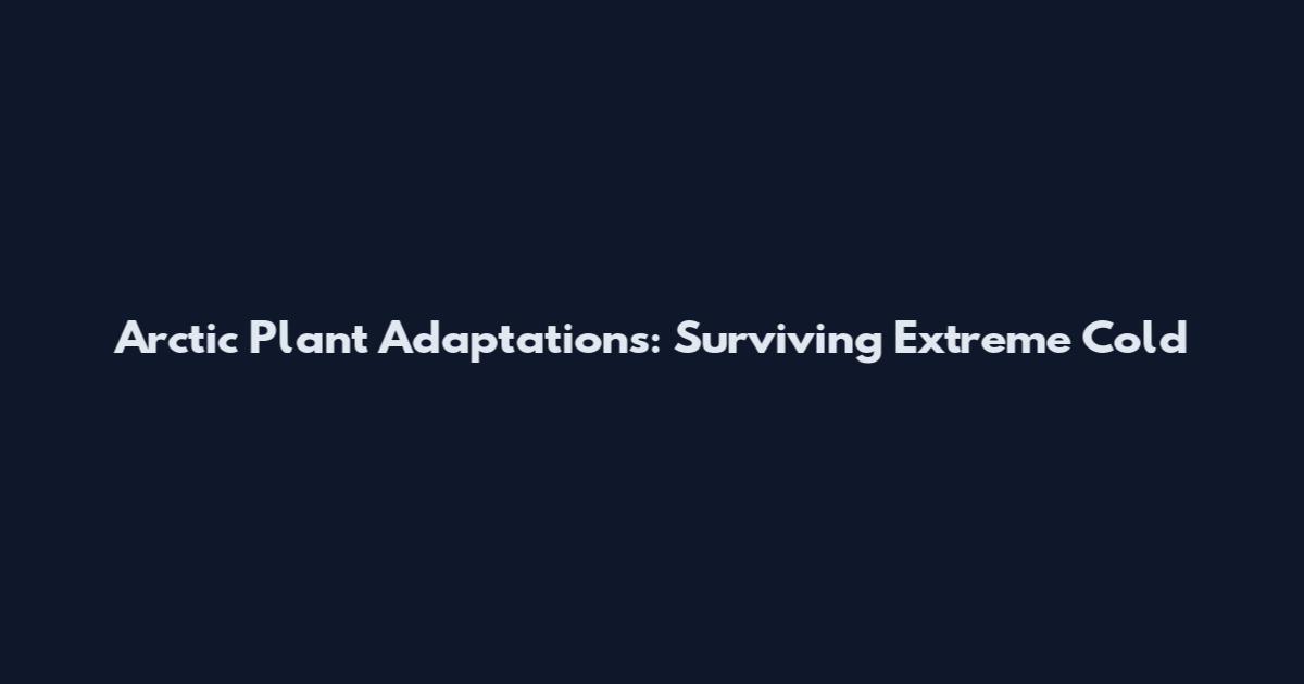 Arctic Plant Adaptations: Surviving Extreme Cold
