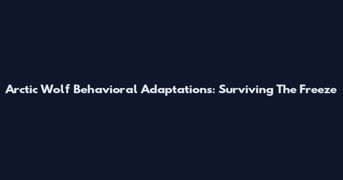 Arctic Wolf Behavioral Adaptations: Surviving The Freeze