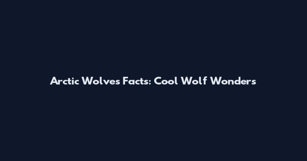 Arctic Wolves Facts: Cool Wolf Wonders