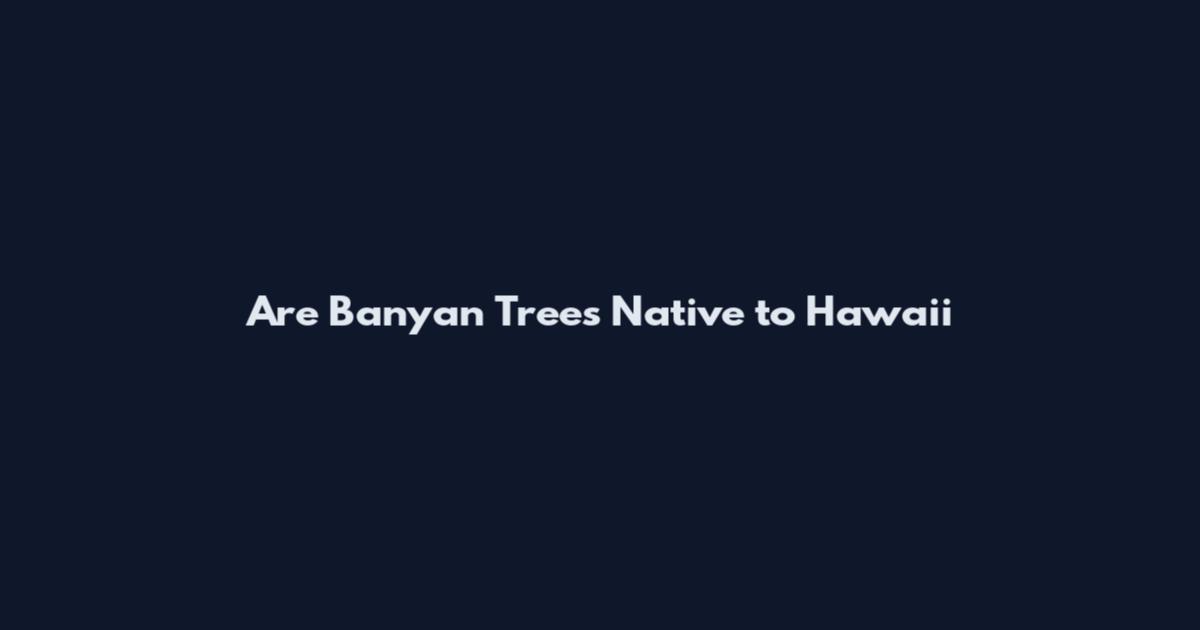 Are Banyan Trees Native to Hawaii