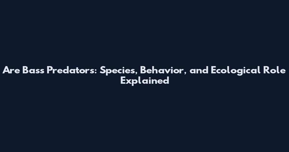 Are Bass Predators: Species, Behavior, and Ecological Role Explained