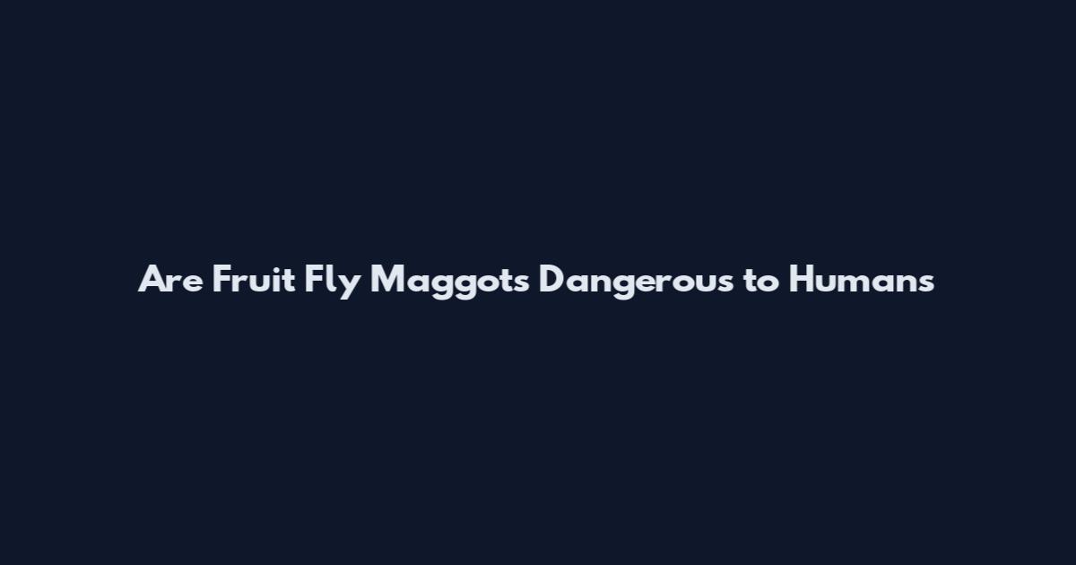 Are Fruit Fly Maggots Dangerous to Humans