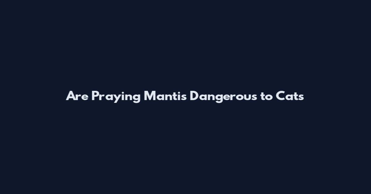 Are Praying Mantis Dangerous to Cats