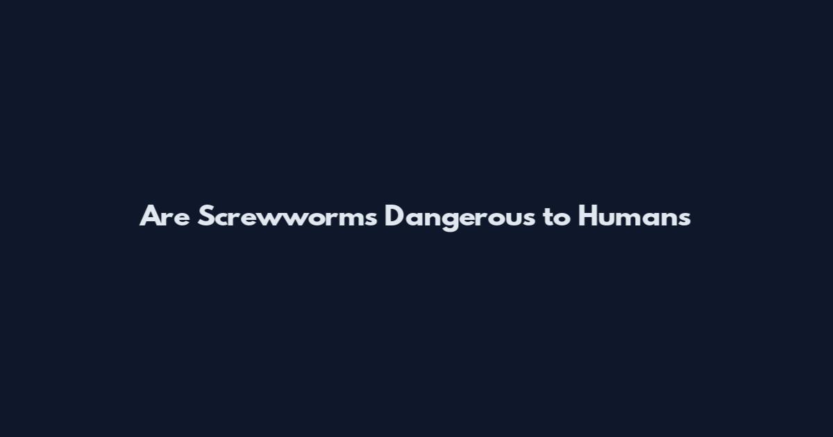 Are Screwworms Dangerous to Humans