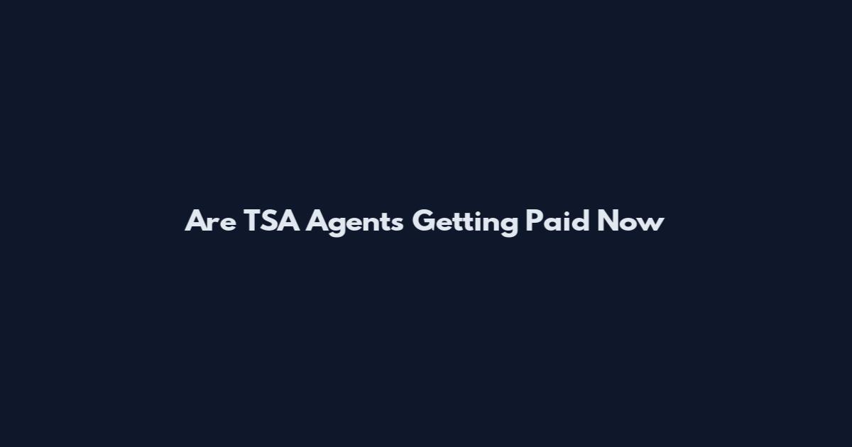 Are TSA Agents Getting Paid Now