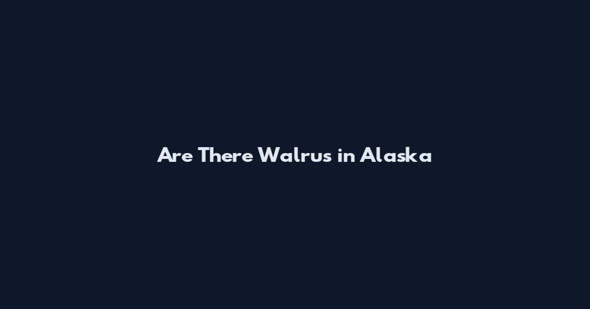 Are There Walrus in Alaska