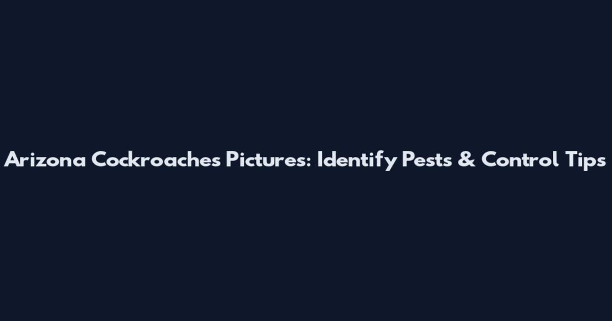 Arizona Cockroaches Pictures: Identify Pests & Control Tips