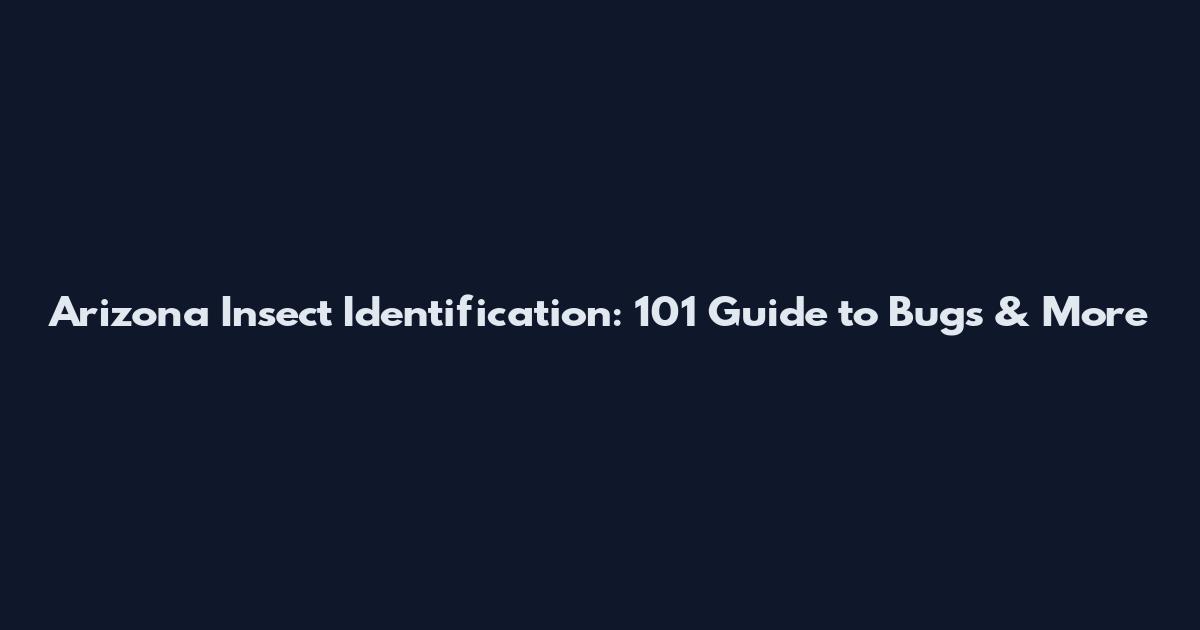 Arizona Insect Identification: 101 Guide to Bugs & More