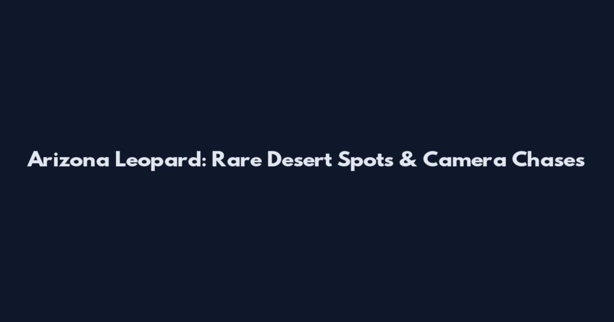 Arizona Leopard: Rare Desert Spots & Camera Chases