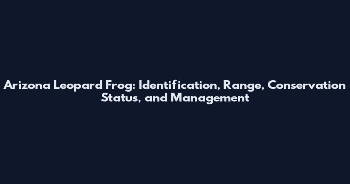 Arizona Leopard Frog: Identification, Range, Conservation Status, and Management