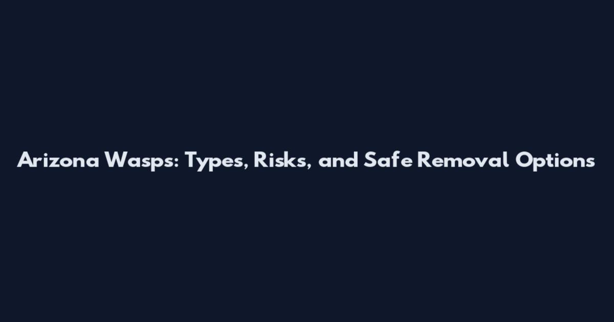 Arizona Wasps: Types, Risks, and Safe Removal Options