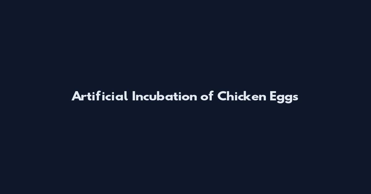 Artificial Incubation of Chicken Eggs