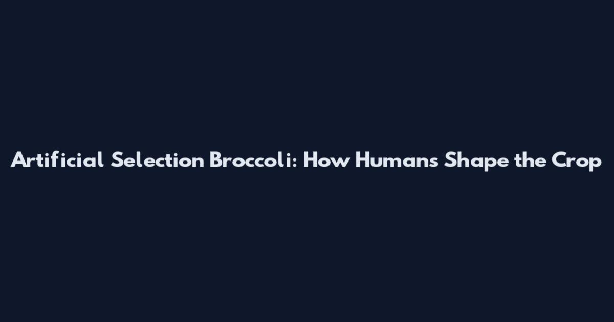 Artificial Selection Broccoli: How Humans Shape the Crop