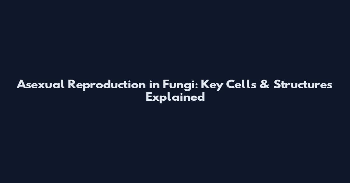 Asexual Reproduction in Fungi: Key Cells & Structures Explained