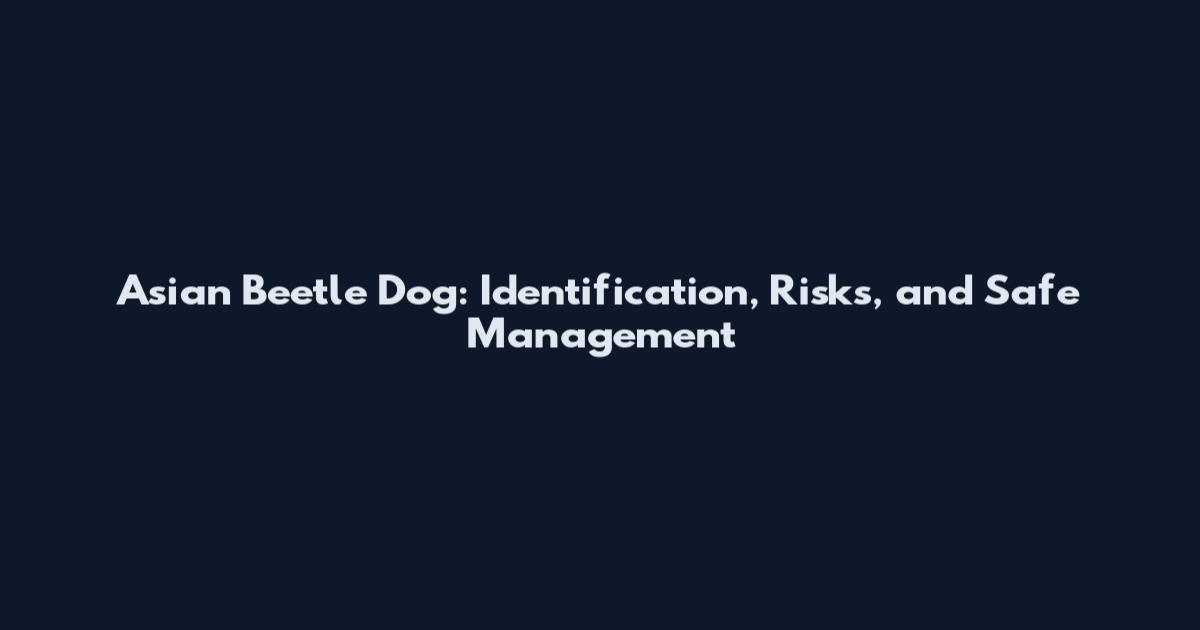 Asian Beetle Dog: Identification, Risks, and Safe Management