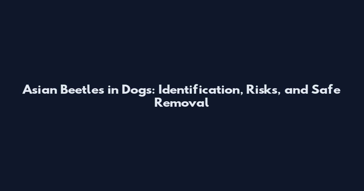 Asian Beetles in Dogs: Identification, Risks, and Safe Removal