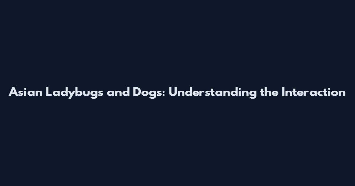 Asian Ladybugs and Dogs: Understanding the Interaction