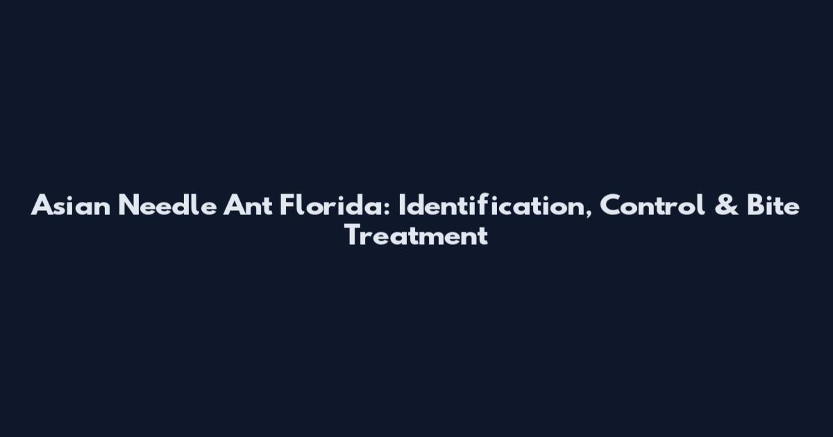 Asian Needle Ant Florida: Identification, Control & Bite Treatment