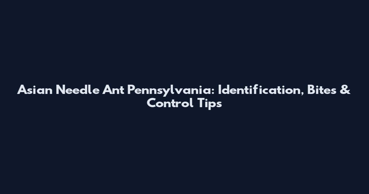 Asian Needle Ant Pennsylvania: Identification, Bites & Control Tips