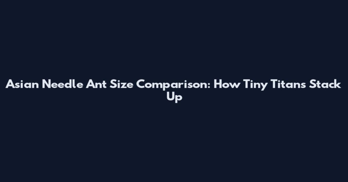 Asian Needle Ant Size Comparison: How Tiny Titans Stack Up