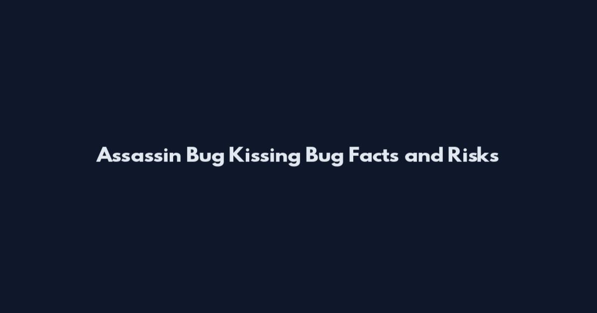 Assassin Bug Kissing Bug Facts and Risks