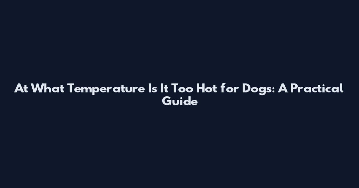 At What Temperature Is It Too Hot for Dogs: A Practical Guide